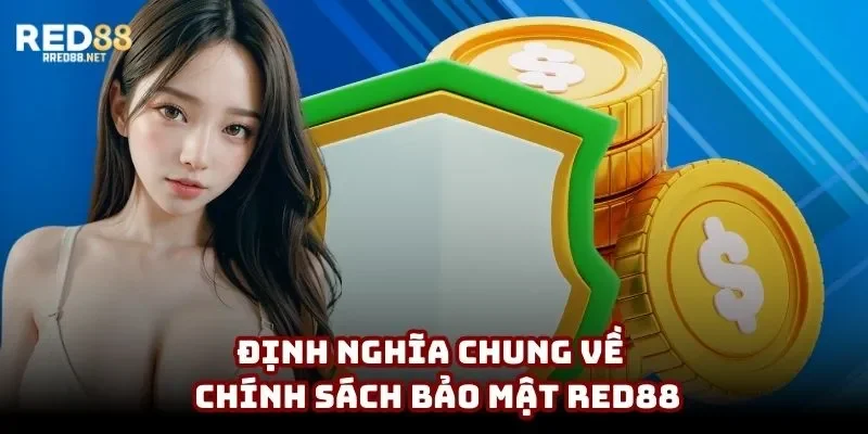 Định nghĩa chung về khái niệm của chính sách bảo mật Red88