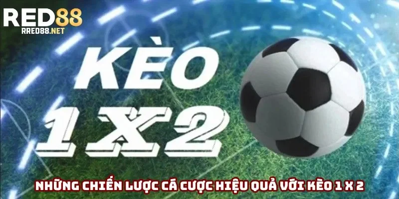 Những chiến lược cá cược hiệu quả với kèo 1 x 2