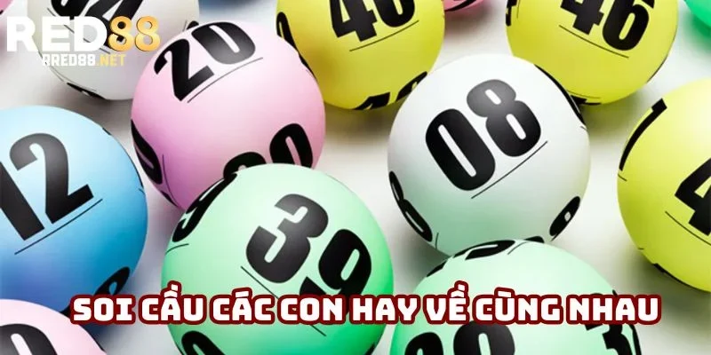 Soi cầu qua các con hay về cùng đợt