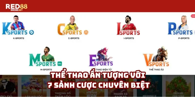 Thể thao ấn tượng với 7 sảnh cược chuyên biệt